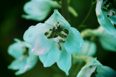 Similar image 22375445