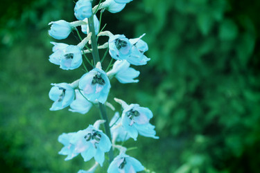 Similar image 22375454