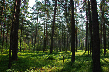 Similar image 22387030