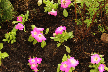 Similar image 22375456