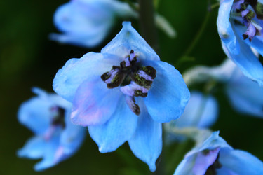 Similar image 22375457