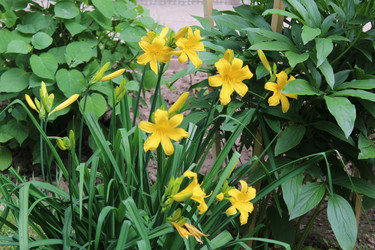 Similar image 22375472