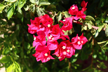 Similar image 22375473