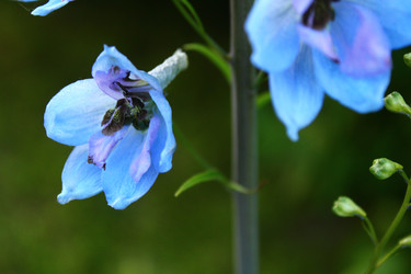 Similar image 22375474