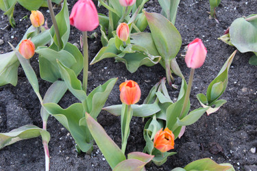 Similar image 22374887