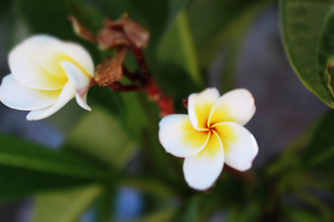 Similar image 22374888