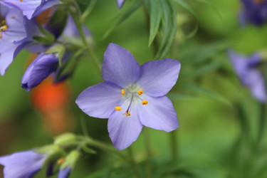 Similar image 22374889