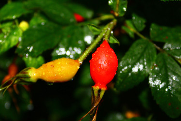 Similar image 22374905