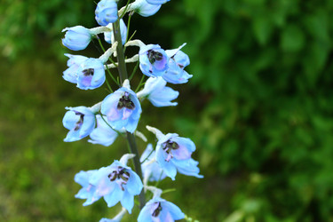 Similar image 22374920