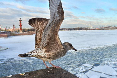 Similar image 22361312