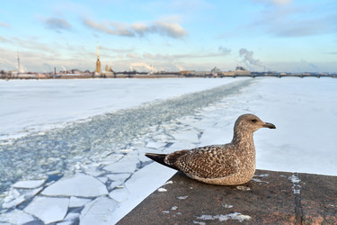 Similar image 22361313