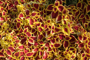 Similar image 22365923