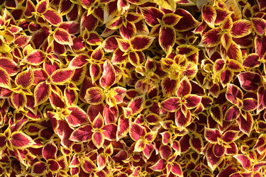 Similar image 22360905