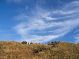 Similar image 22375801