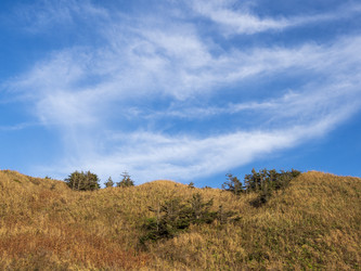 Similar image 22375802