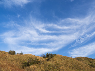 Similar image 22375803