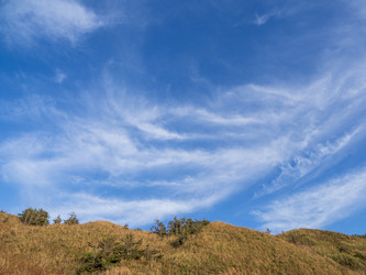 Similar image 22375804