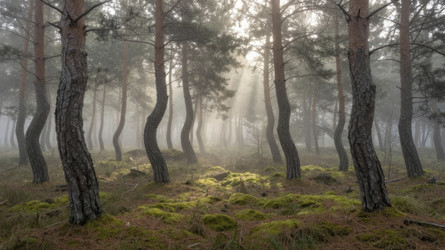 Similar image 22373718