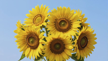 Similar image 22373745