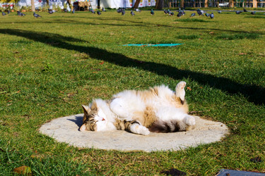 Similar image 22365939