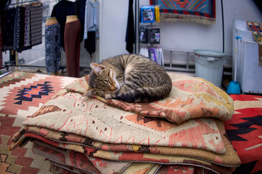 Similar image 22365940