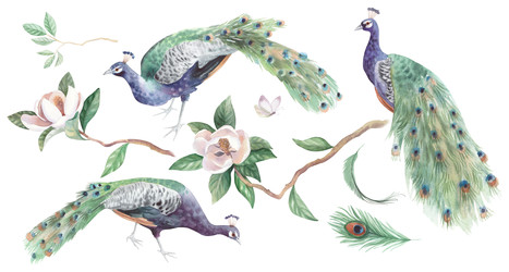 Similar image 22375861