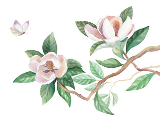 Similar image 22375877