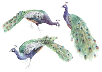 Similar image 22375879