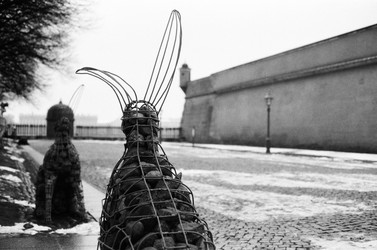 Similar image 22373495