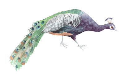 Similar image 22375881