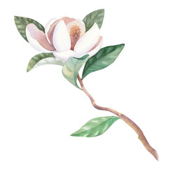 Similar image 22375882