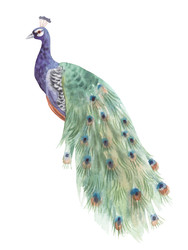 Similar image 22375883