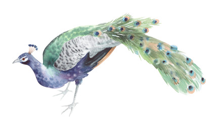 Similar image 22375886