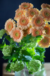 Similar image 22373543