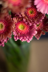 Similar image 22373544