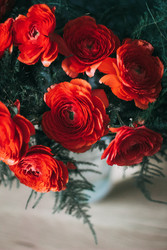 Similar image 22373545