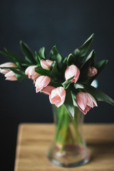 Similar image 22373546