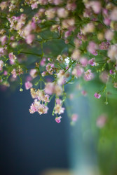 Similar image 22373548