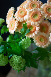 Similar image 22373549