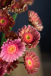 Similar image 22373550