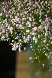 Similar image 22373551