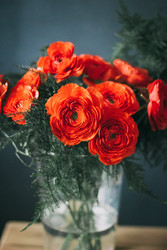 Similar image 22373555