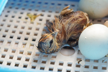 Similar image 22373470