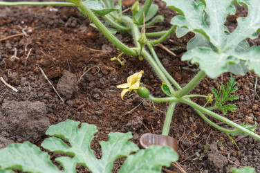 Similar image 22377229