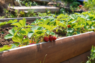 Similar image 22373471