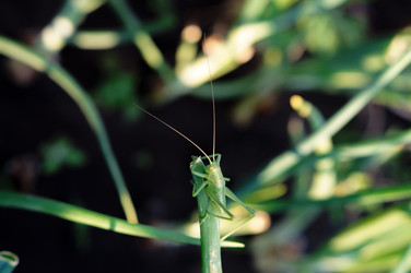 Similar image 22375719