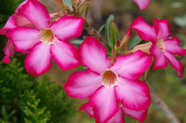 Similar image 22365926