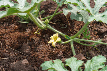 Similar image 22385769