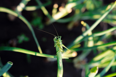 Similar image 22377230