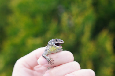 Similar image 22373473